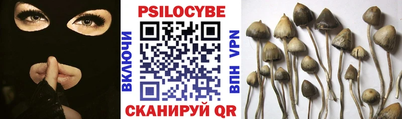 Псилоцибиновые грибы Psilocybine cubensis Карталы