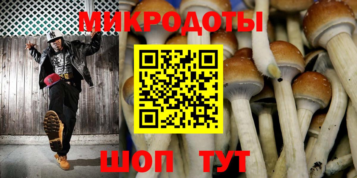 Галлюциногенные грибы Psilocybine cubensis Карталы